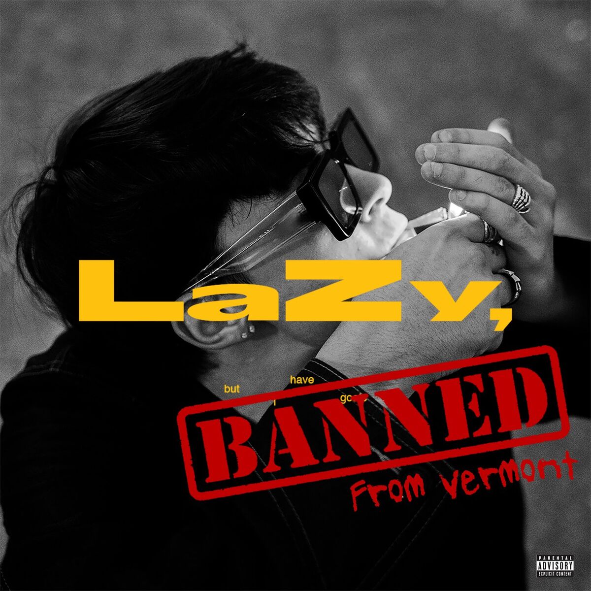 Album cover of LaZy, but i have goals (Banned From Vermont)
