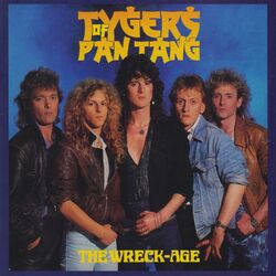 Cover of The Wreck-Age