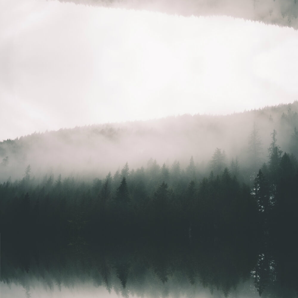 Picture of Stay Here Please