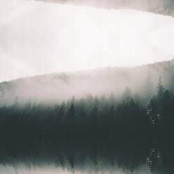 Cover of Stay Here Please