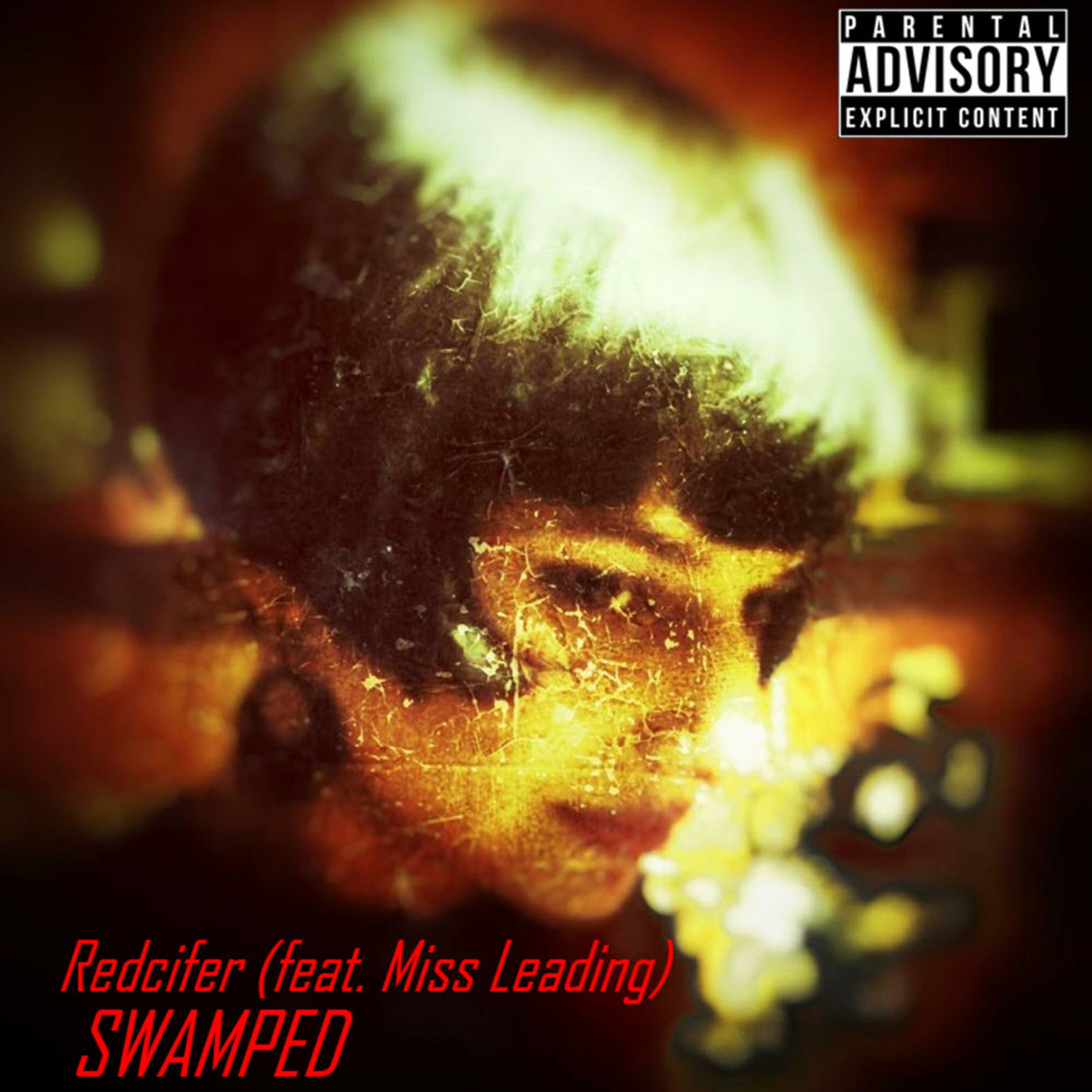 Album cover of Swamped