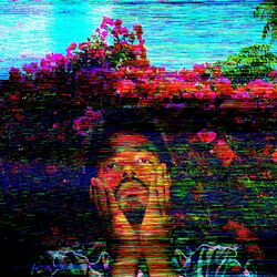 Cover of TV