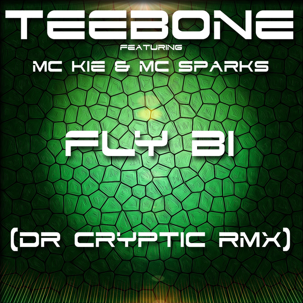 Album cover of Fly Bi