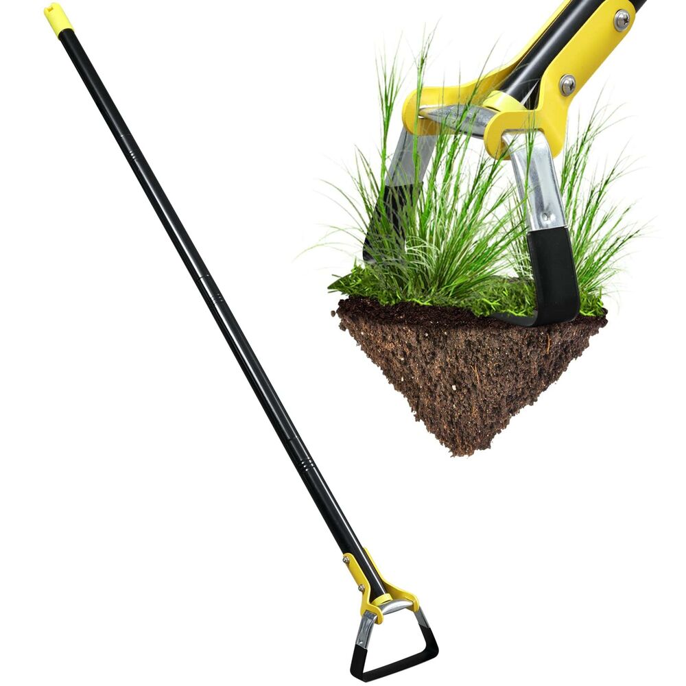 Picture of For The Hoes