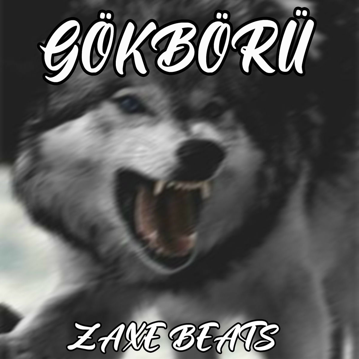 Album cover of Gökbörü