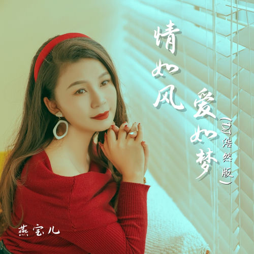 情如风爱如梦 (Dj浩然版)