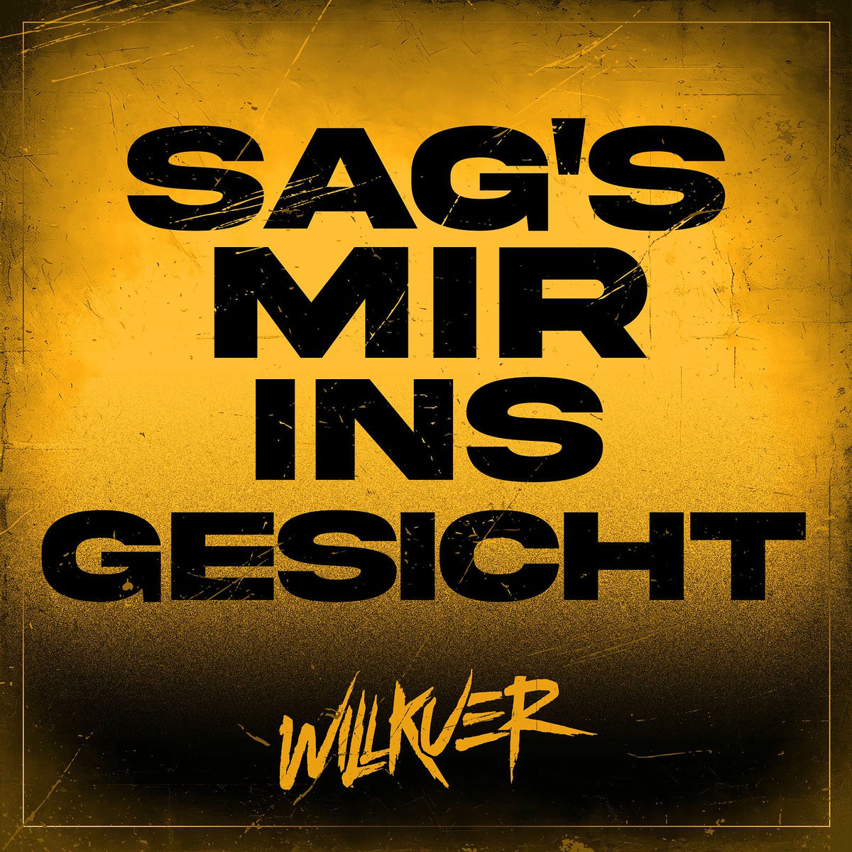 Album cover of Sag's Mir Ins Gesicht