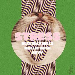 Cover of Stress