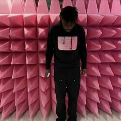 Cover of Easter Pink