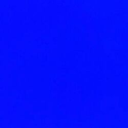 Cover of the blues