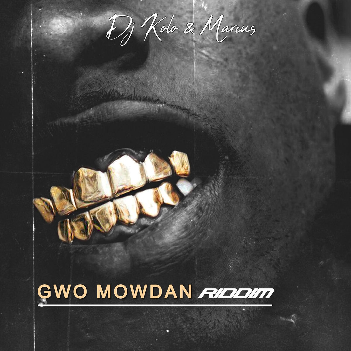 Album cover of Gwo Mowdan RiDDIM