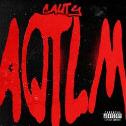 Cover of AQTLM