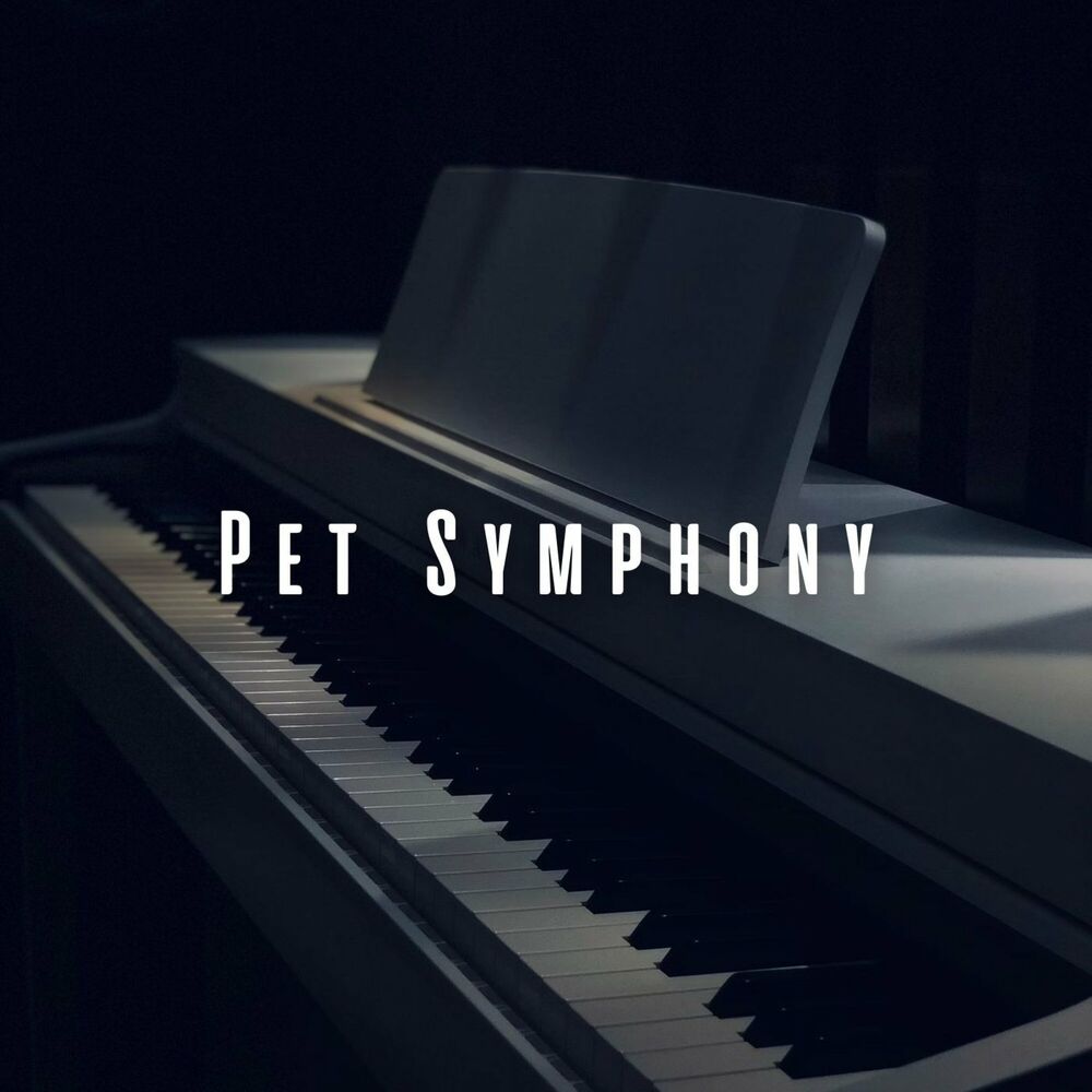 Picture of Pet Symphony: Piano Delights with Ambient Rainstorm Beats