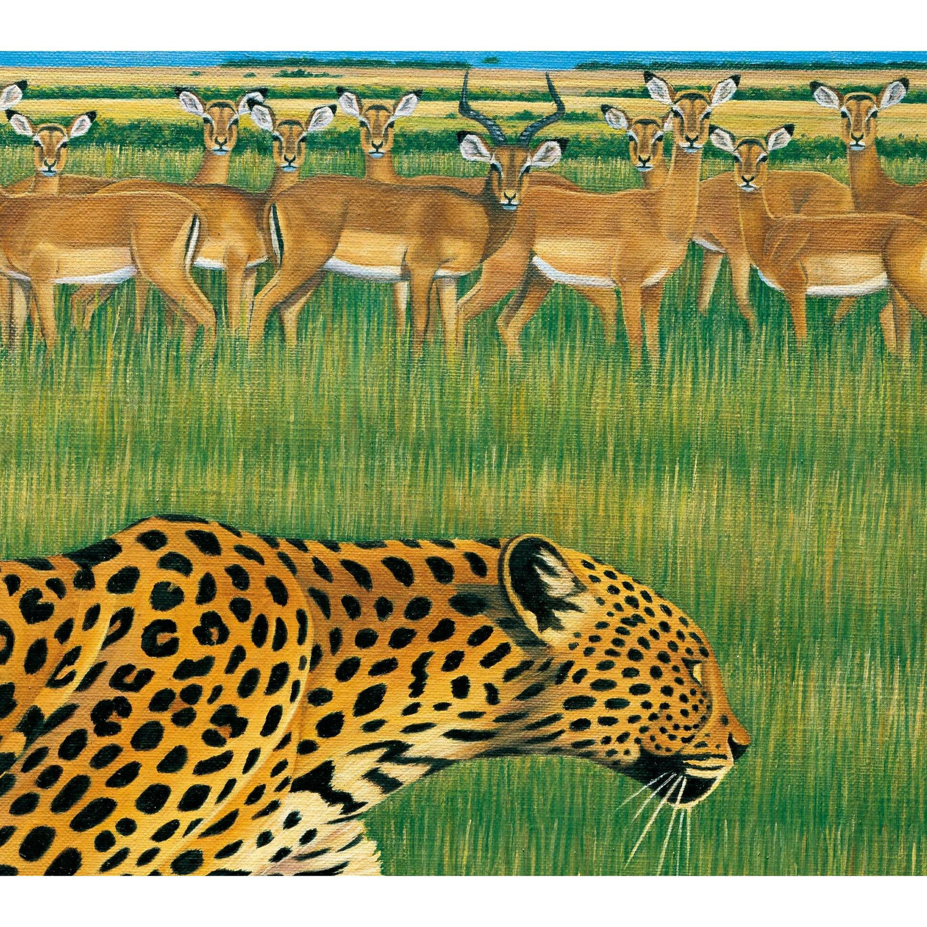 Fantastic Plastic Machine: albums, songs, concerts | Deezer