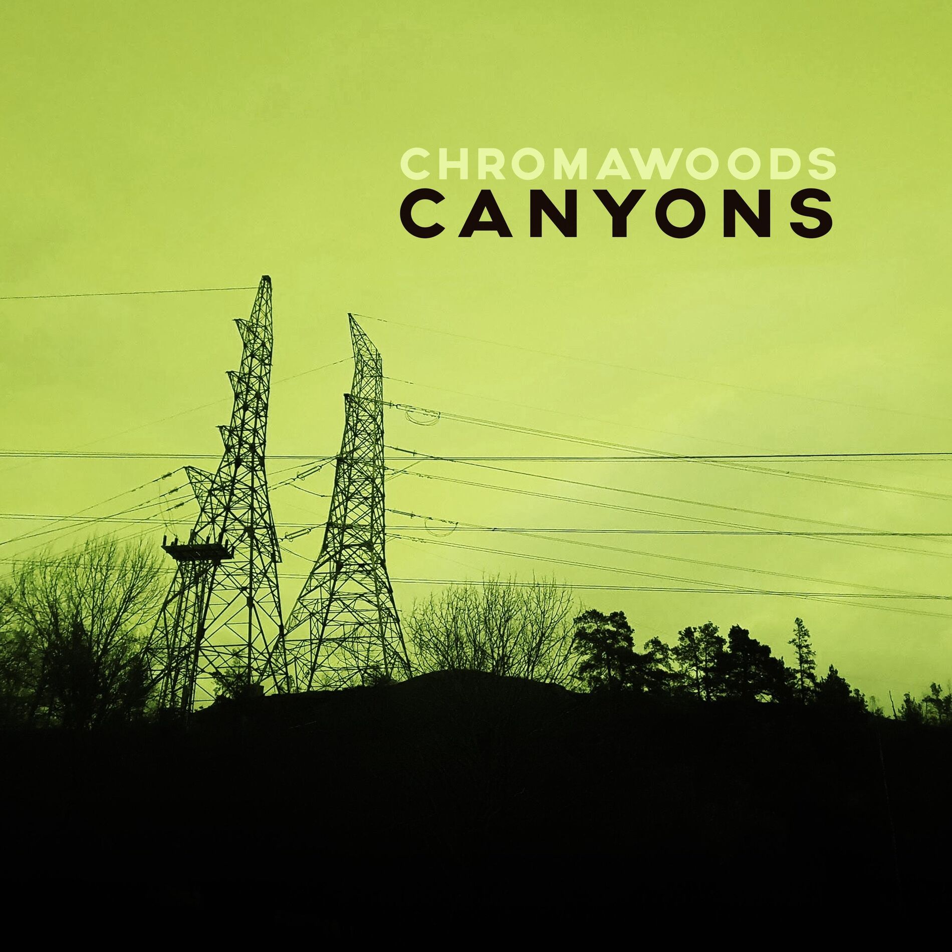 Album cover of Canyons