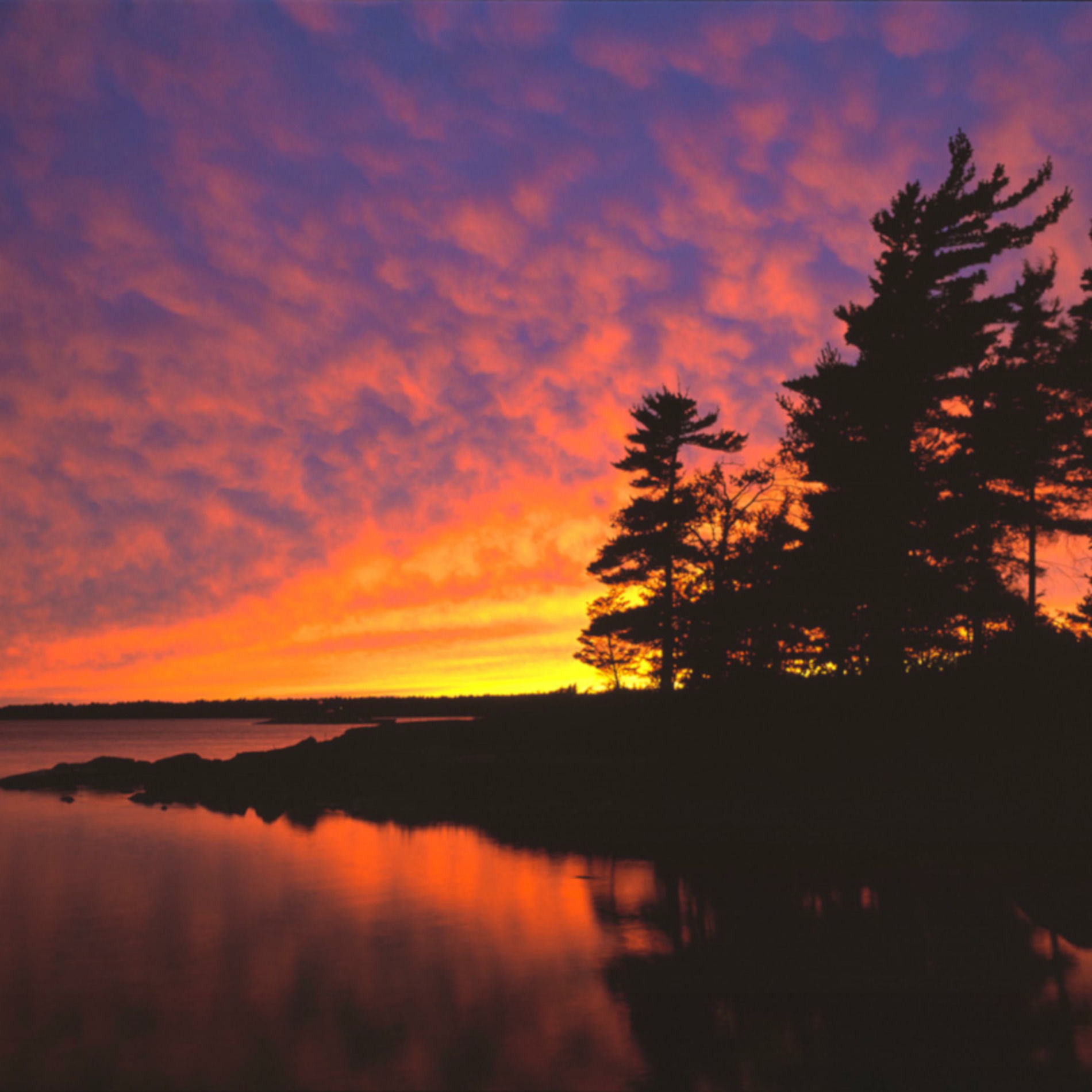 Album cover of Dawn