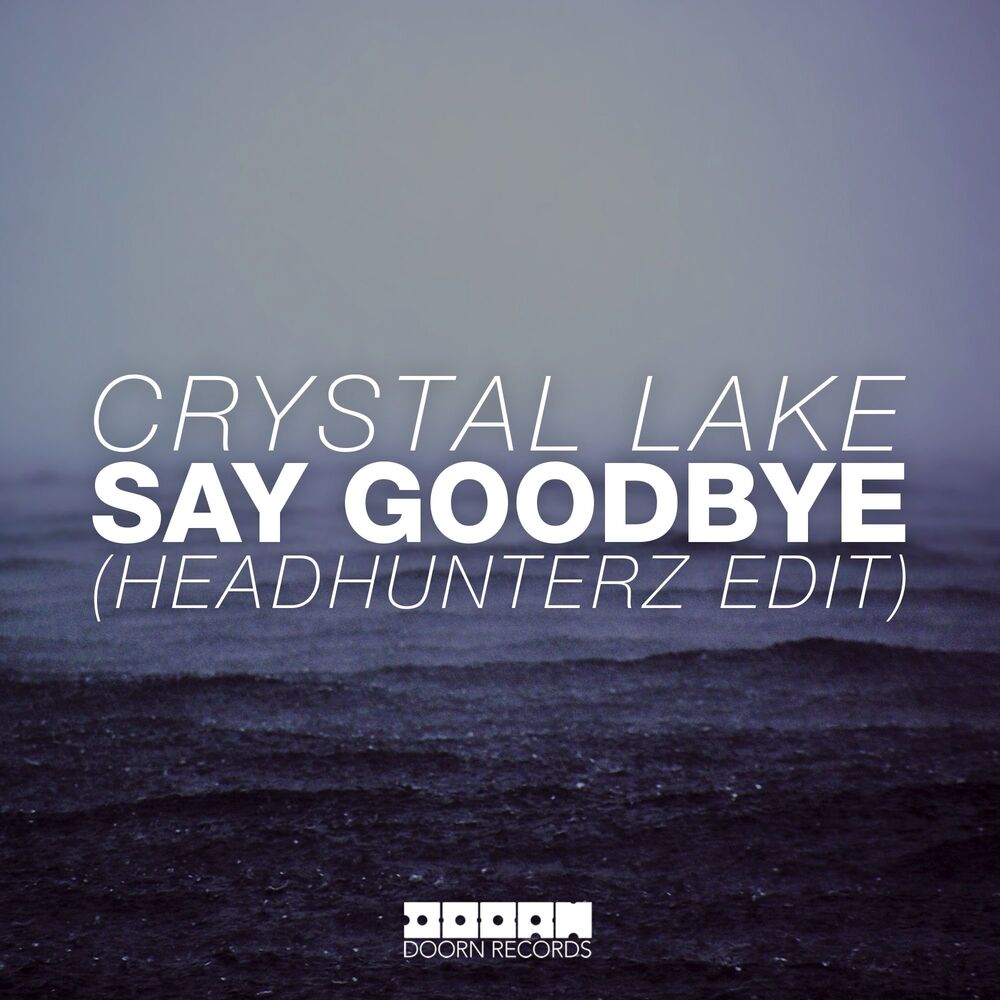 Picture of Say Goodbye (Headhunterz Radio Edit)