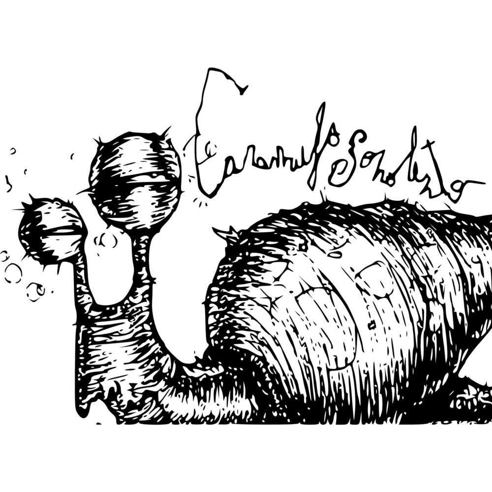 Picture of Rastejado Entre Cogumelos
