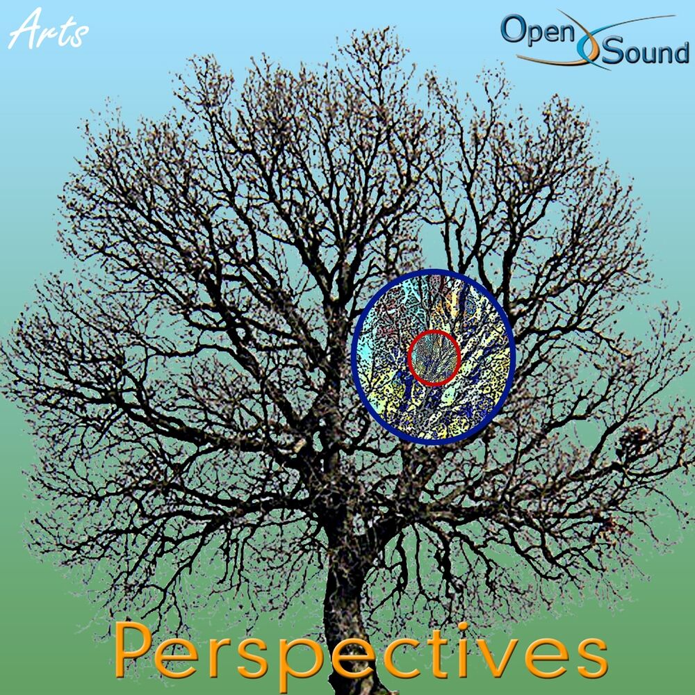 Picture of Focus (Perspectives)
