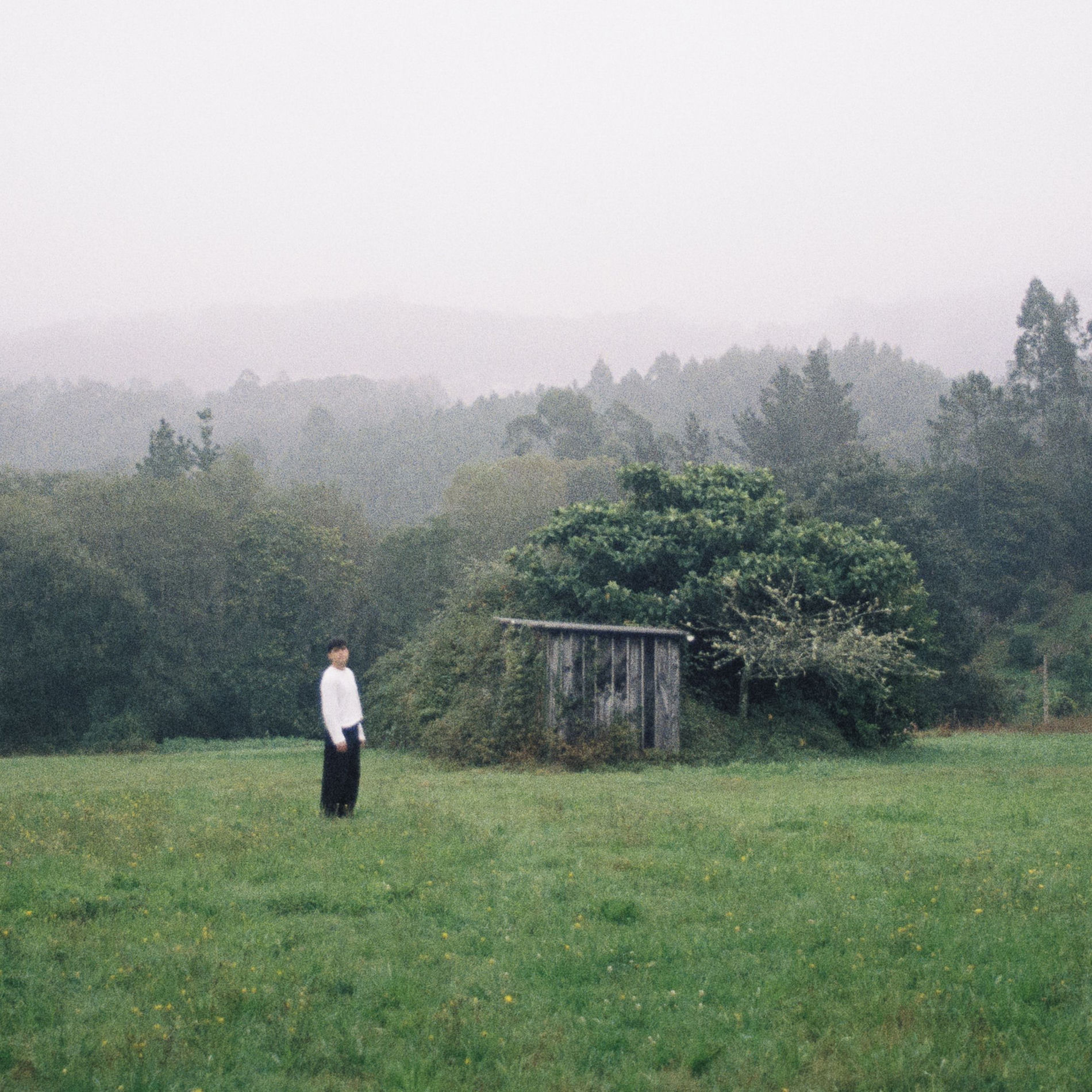 Album cover of Amor