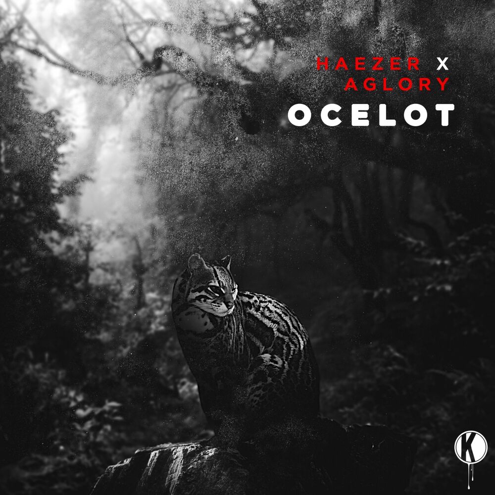 Picture of Ocelot