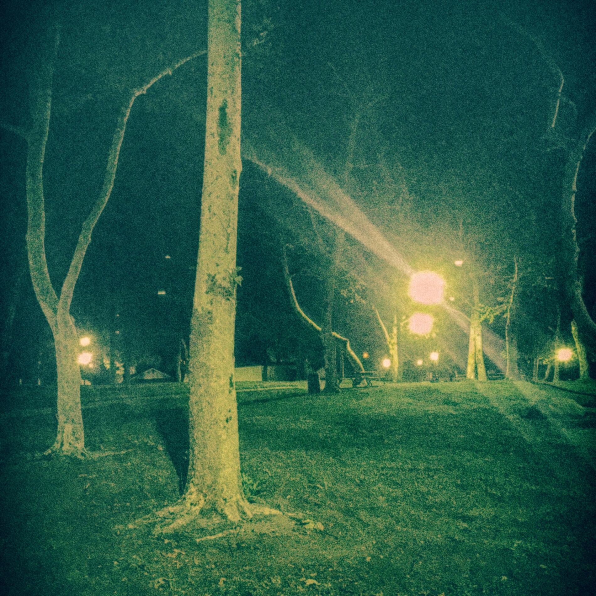 Album cover of Green Belt Park