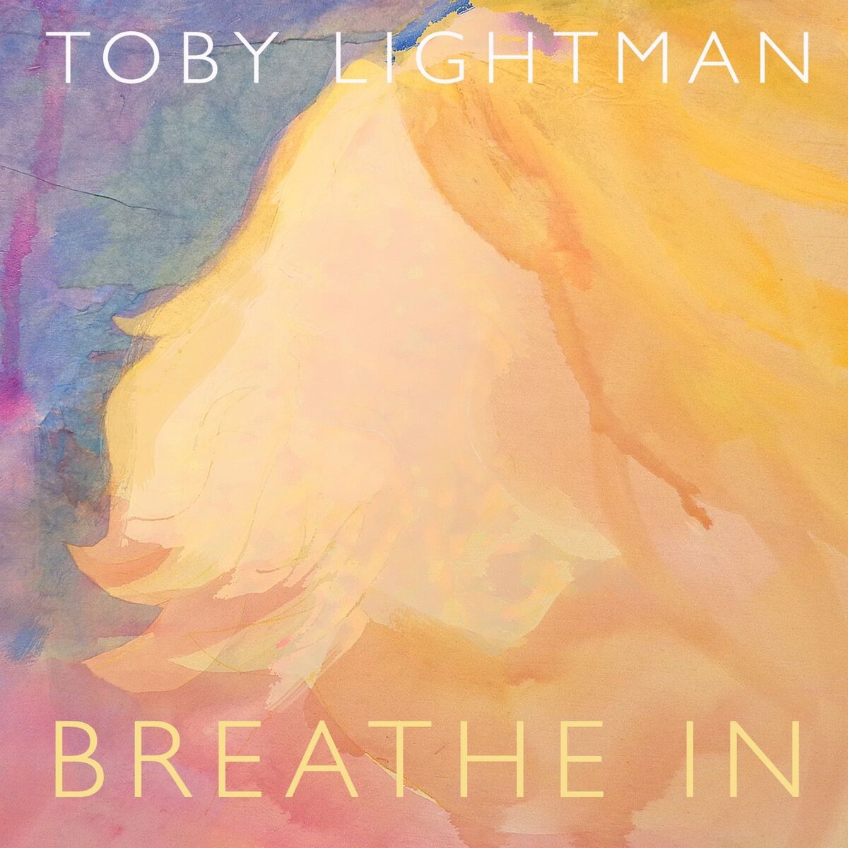 Album cover of Breathe In