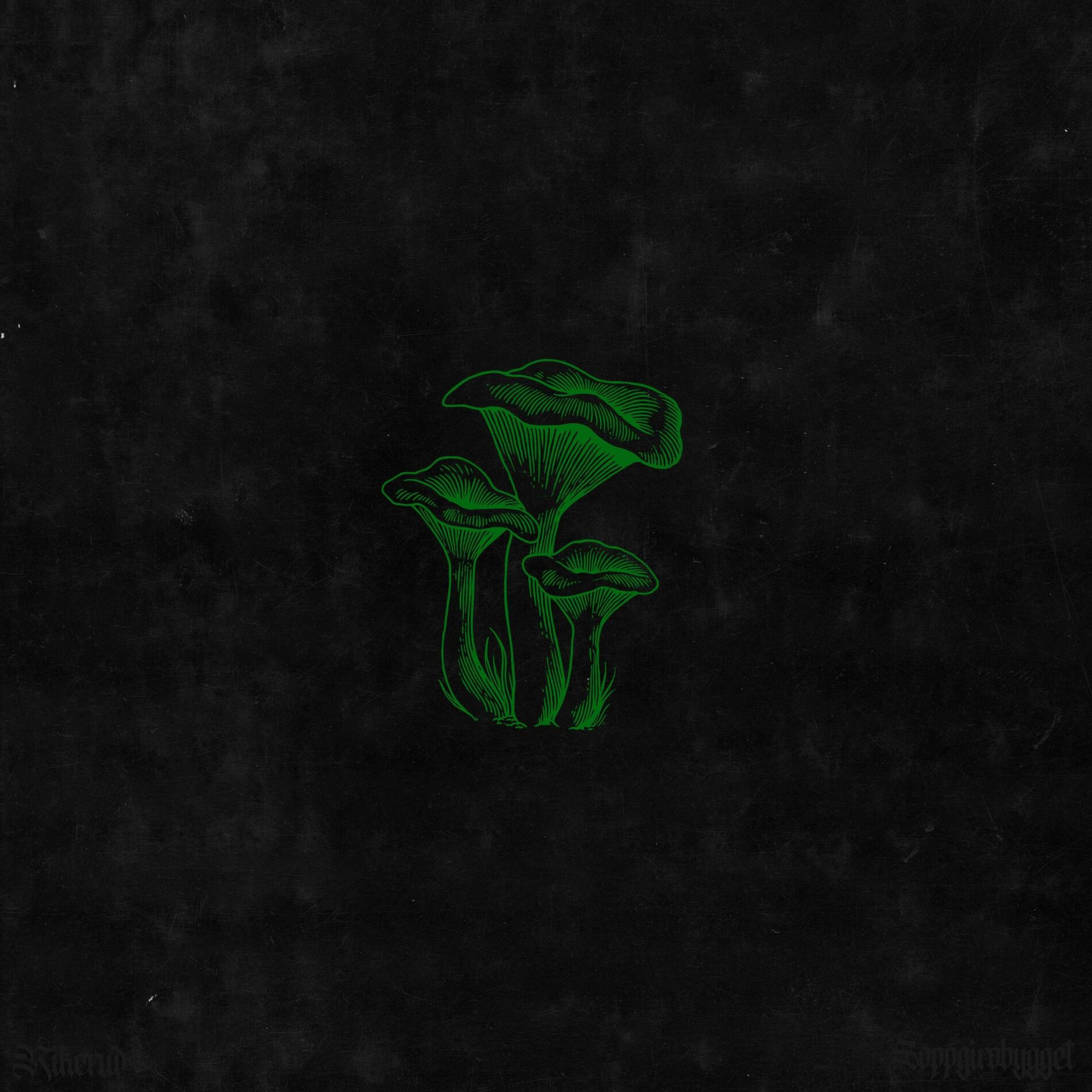 Album cover of RIKERUD