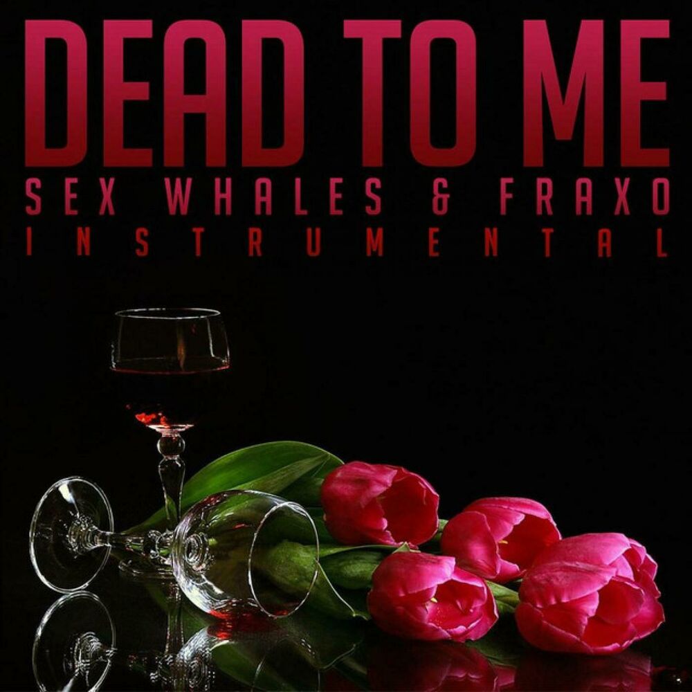 Picture of Dead To Me (Instrumental)