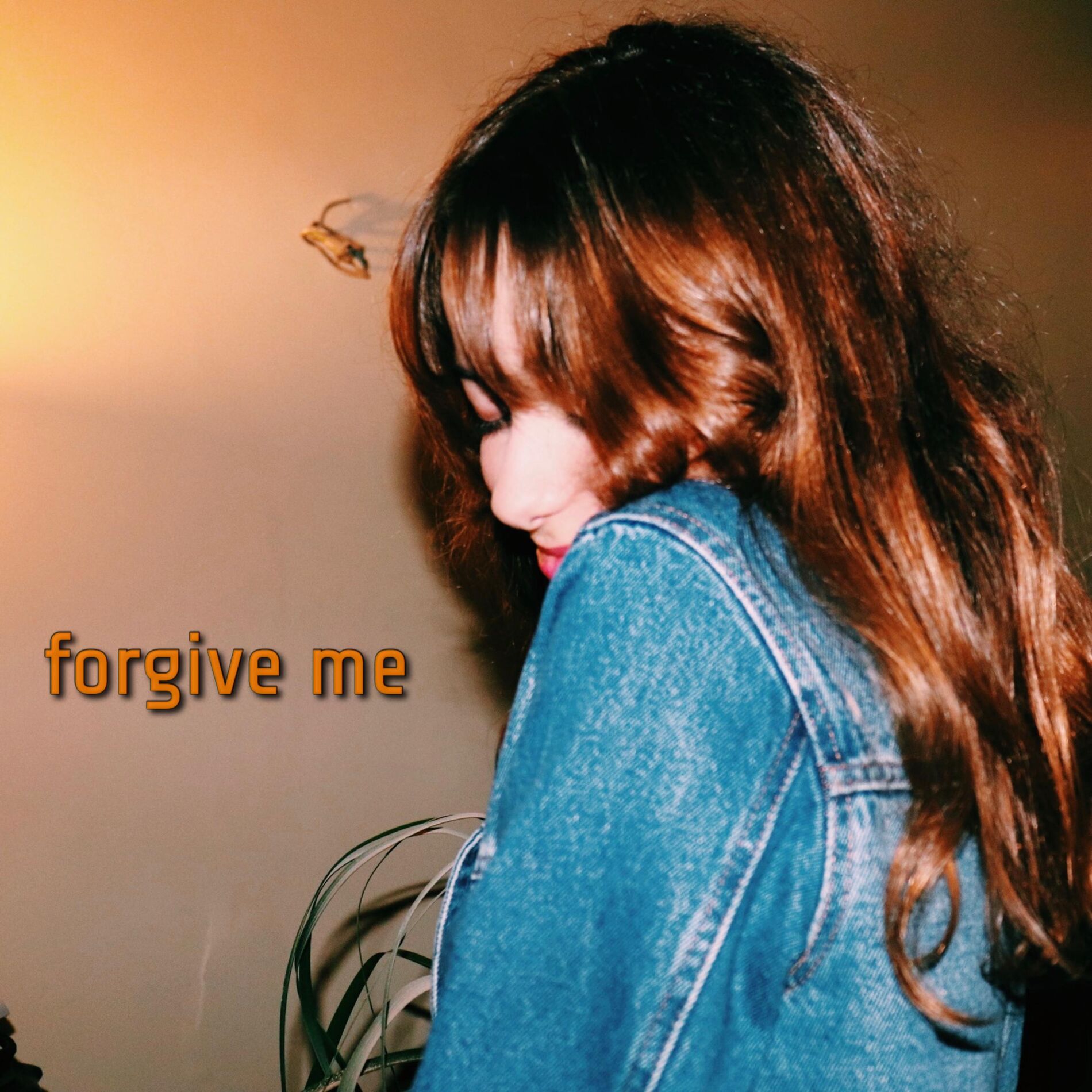 Album cover of Forgive Me