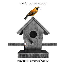 Cover of Reaching for Sindhu (Radio Version)