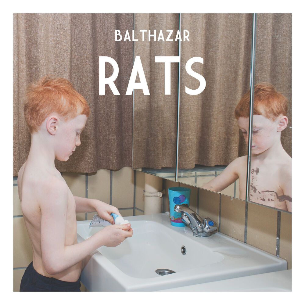 Picture of Rats