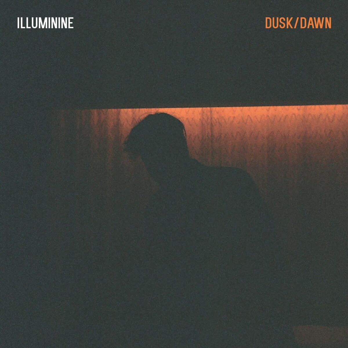 Album cover of Dusk/Dawn