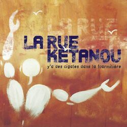 Cover of Y'a des cigales dans la fourmilière