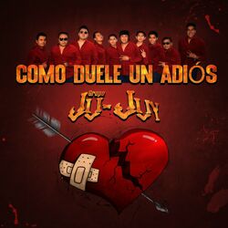 Cover of Como Duele Un Adios