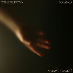 Cover of Coming Down