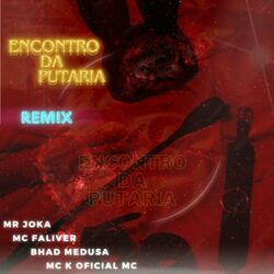 Cover of Encontro da Putaria (Remix)