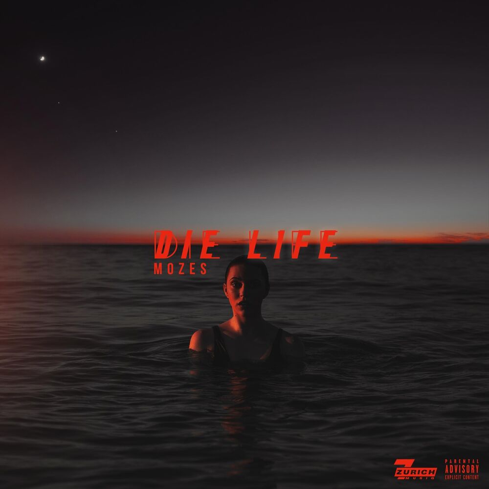 Picture of Die Life