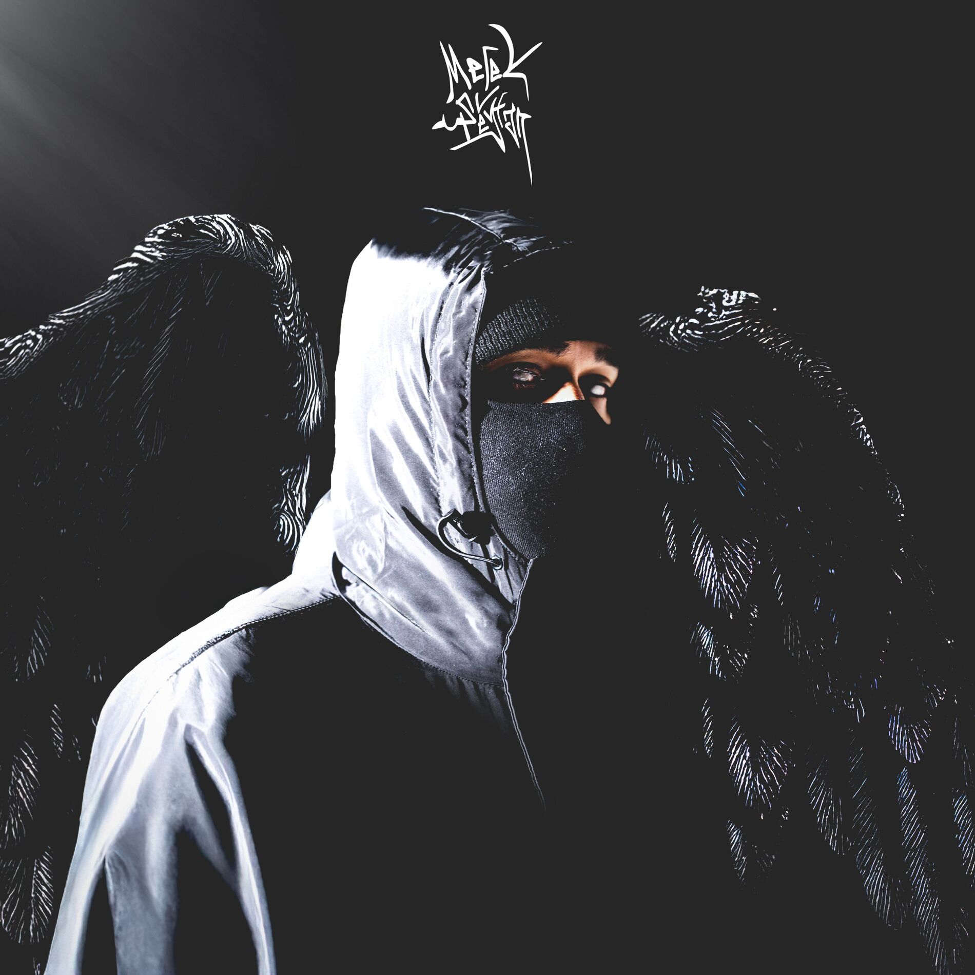 Album cover of Melek V Şeytan