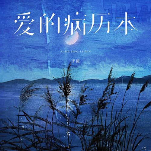 爱的病历本