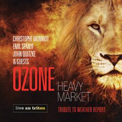 Cover of Heavy Market Tribute to Weather Report (Live au Triton)