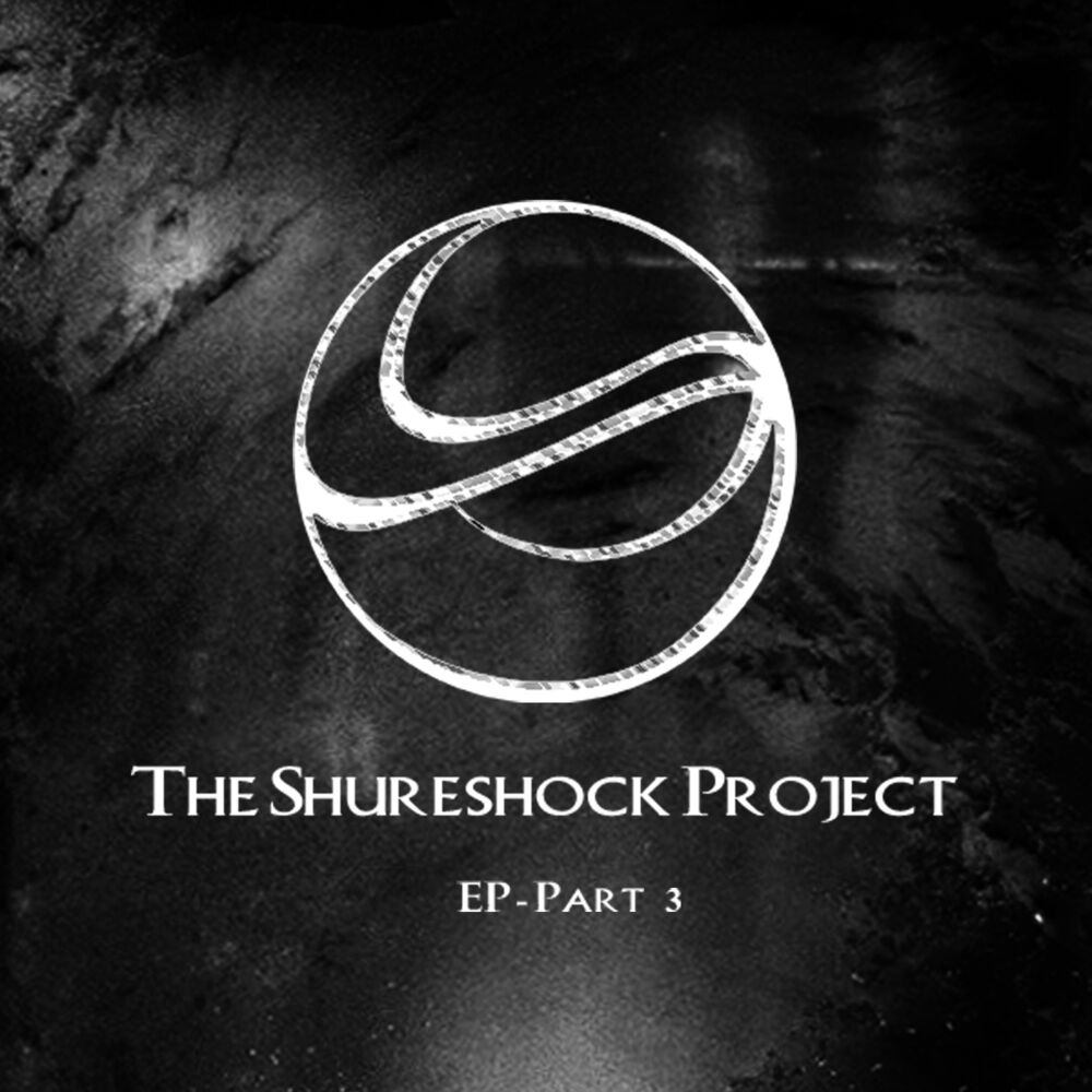 Picture of The Shureshock Project Part 3