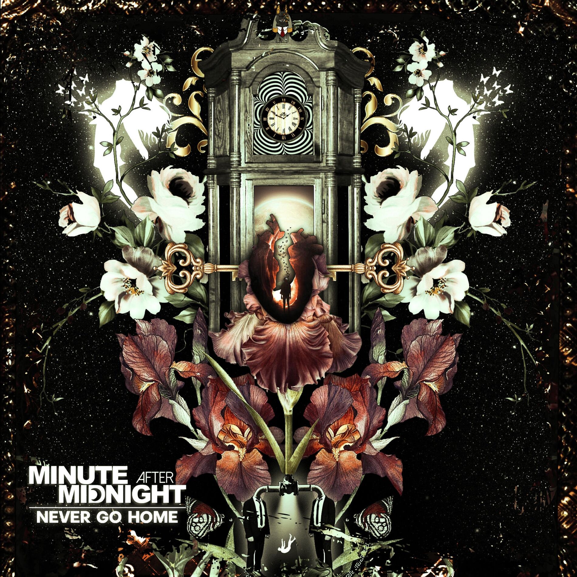Album cover of NEVER GO HOME