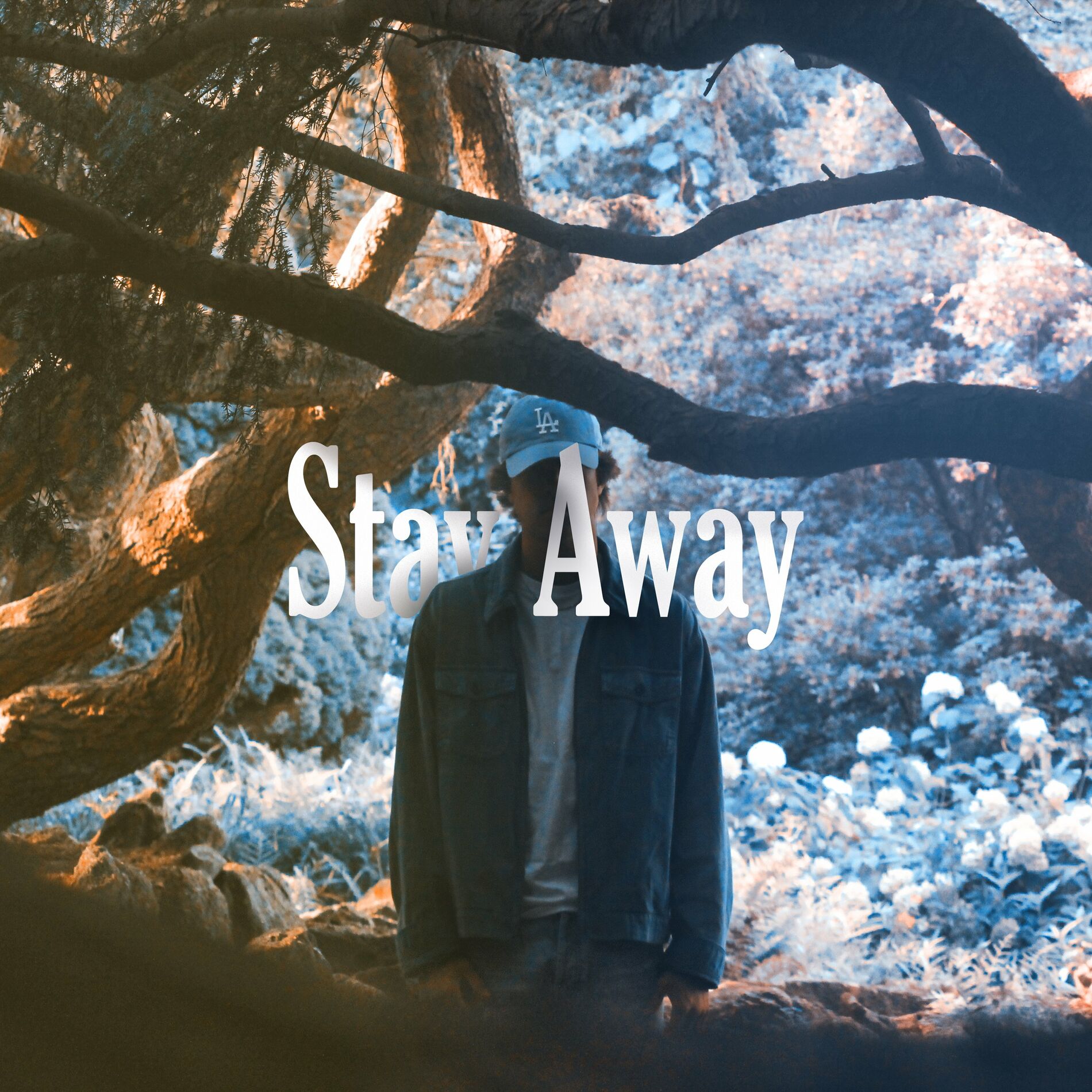 Album cover of Stay Away