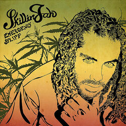 Cover of Emergency Spliff