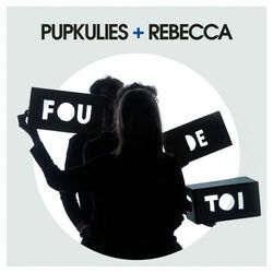 Cover of Fou de toi