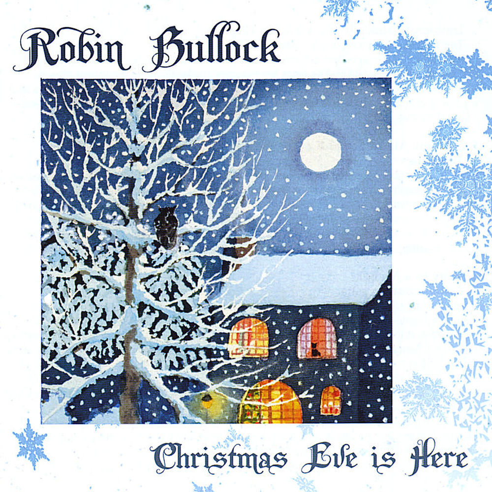 how much is robin bullock worth - Ilustrasi 2