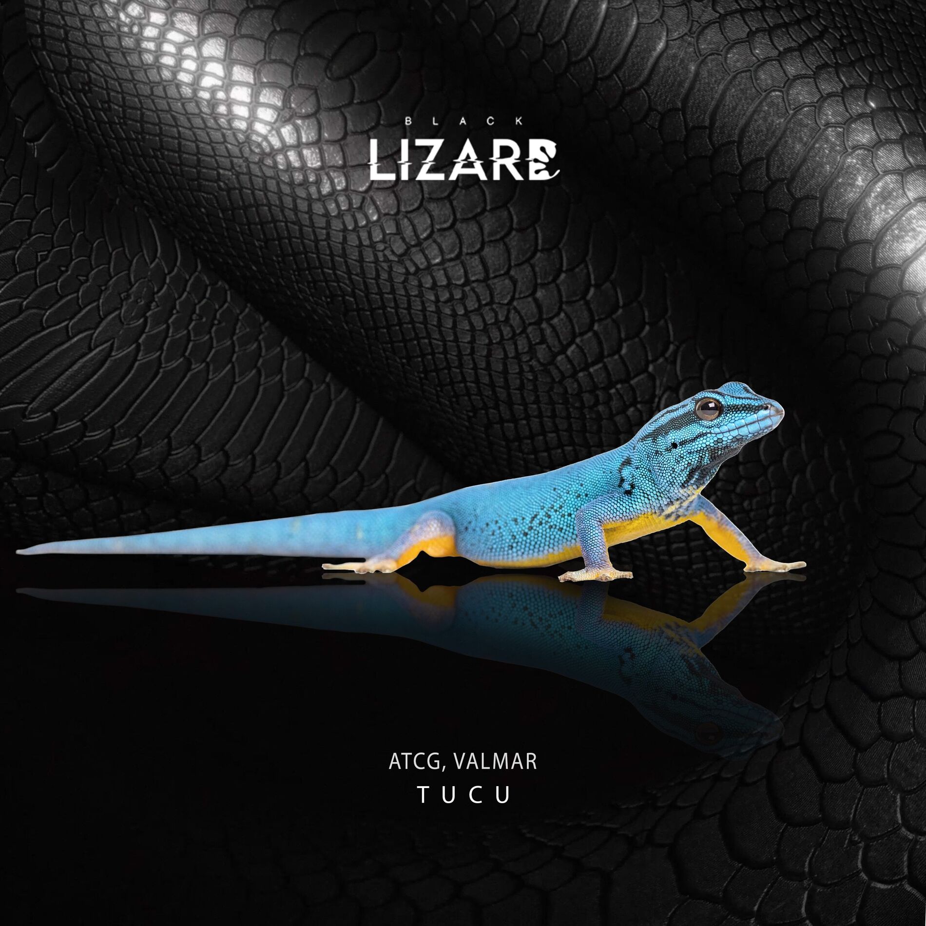 Album cover of TUCU