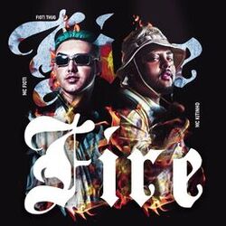 Cover of Fire