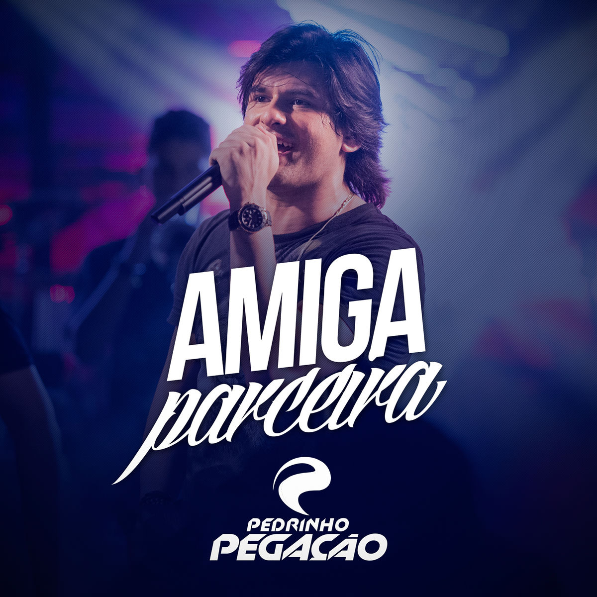 Album cover of Amiga Parceira